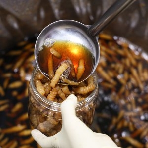 단양구경시장 유리네 수제 초석잠장아찌 1kg_이미지