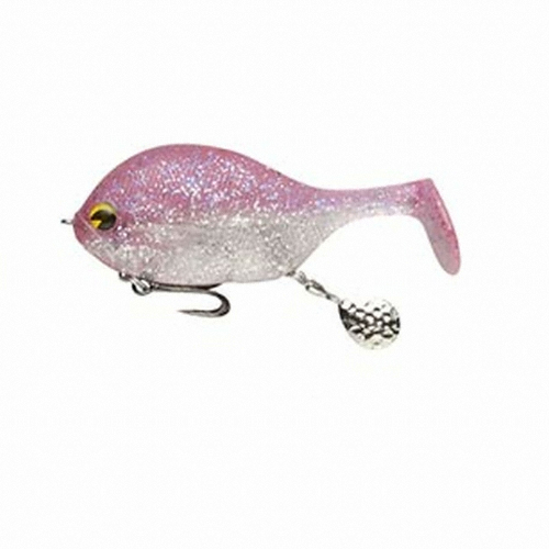 아이마 쿠질라_이미지