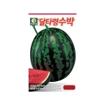 다농 달타령수박씨앗 30립