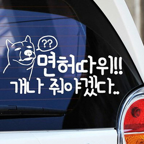 카티커 (428) 면허따위 개나 줘야겠다 스티커_이미지