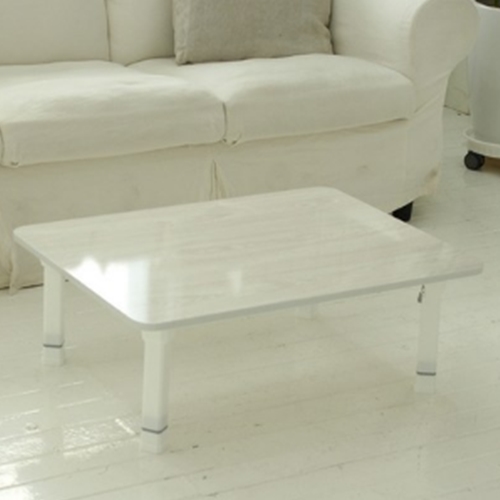 레몬트리 트리팜 LPM 높이조절 접이식 테이블 (72x48cm)_이미지