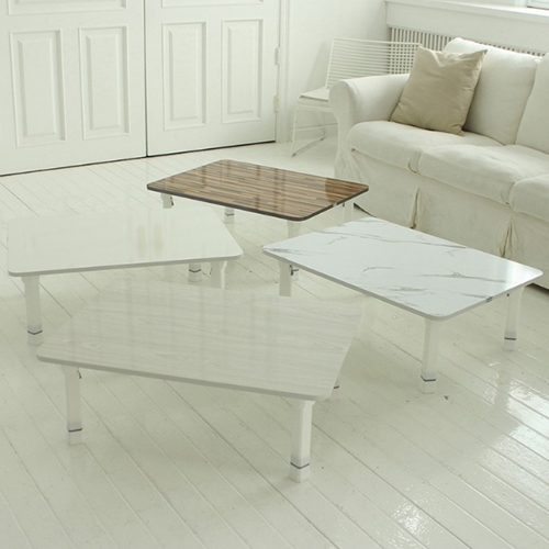 레몬트리 트리팜 LPM 높이조절 접이식 테이블 (72x48cm)_이미지