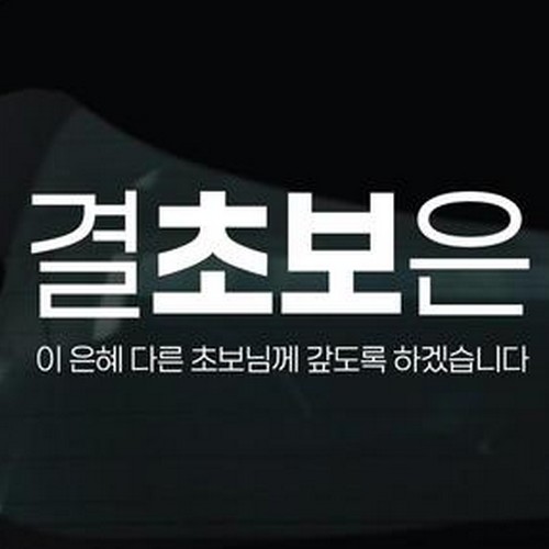 디자인황소 초보운전 스티커 22 결초보은