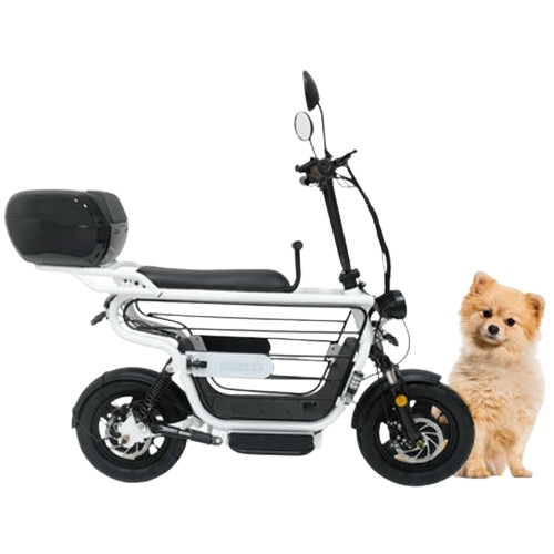 ��ǰ �� �̹���