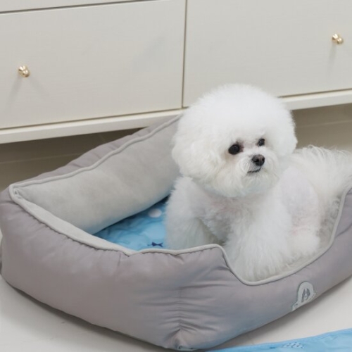마이프랜즈 마이또 러브 시리즈 쿨매트 소형이미지입니다. 누르면 해당 게시물로 새창이동합니다.