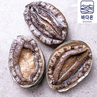 바다온 완도활<b>전복</b> 6-7미 1kg 마리당140g내외