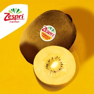 제스프리 골드키위 슈퍼점보 11입 총1.7kg 개당 155g내외이미지입니다. 누르면 해당 게시물로 새창이동합니다.