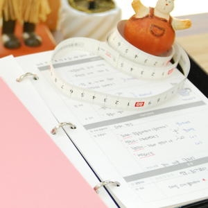 A5바인더 리필내지 다이어트 식단일지 속지SET