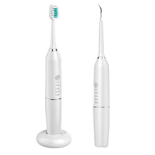 치석제거기 (해외구매)_이미지