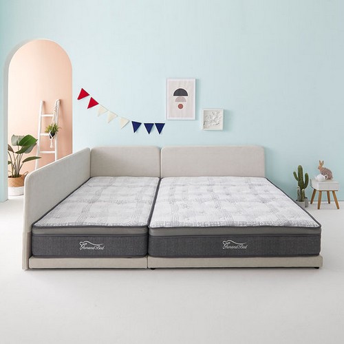 BIF����׿� �Ƹ��� ������ �йи�ħ�� S+Q