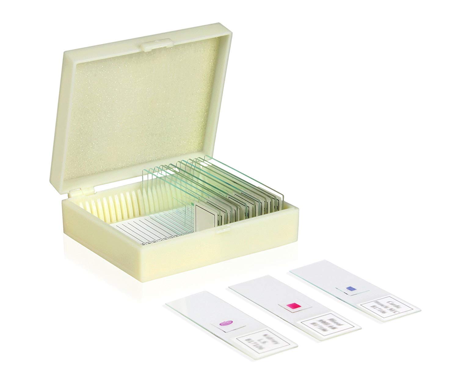 ��ǰ �� �̹���