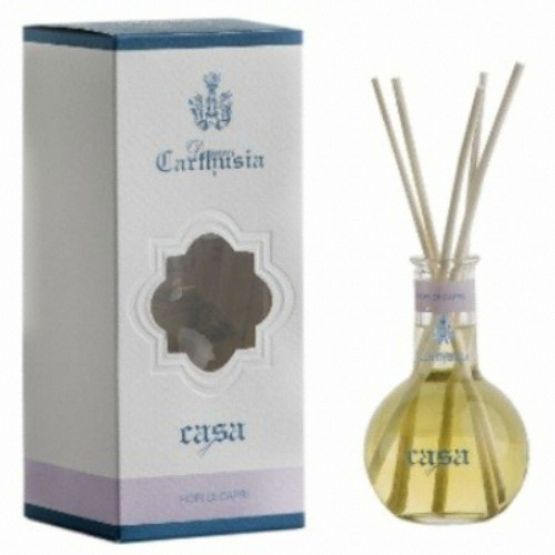 ������� ���ǿ��� �� ī���� �����׷��� ��ǻ�� 100ml