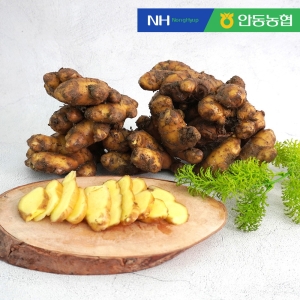 안동농협 안동 흙생강 4kg [1개]