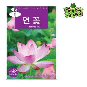 코코가든 연꽃 <b>씨앗</b>
