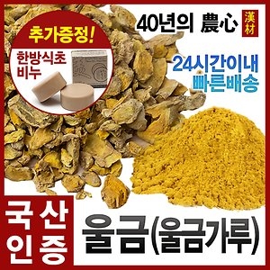 진도울금 군수역리 가루/강황