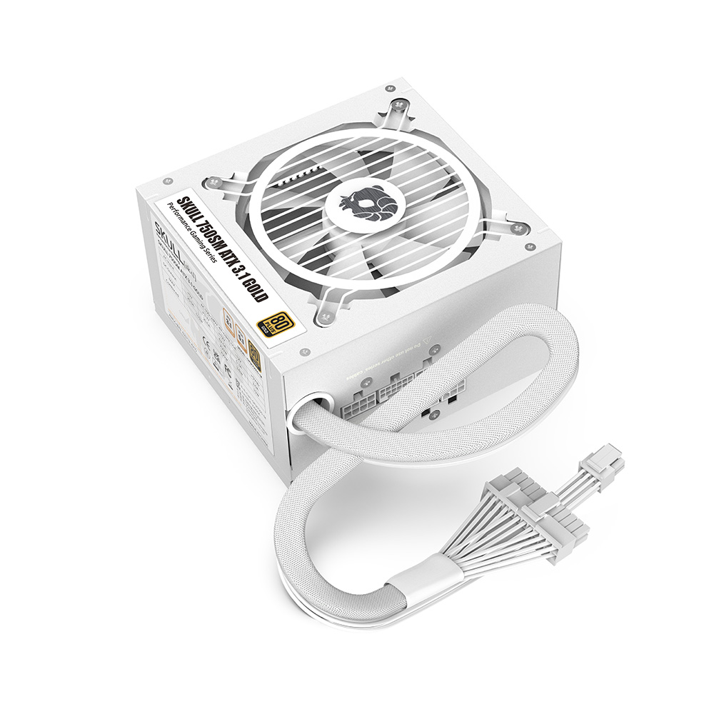 NEWZEN SKULL 750SM ��ⷯ ATX3.1 80PLUS��� ȭ��Ʈ