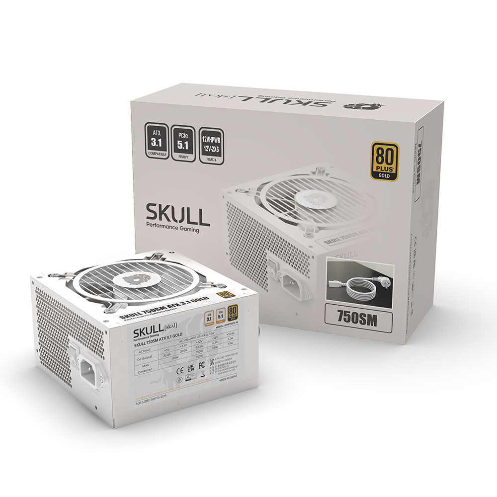 NEWZEN SKULL 750SM 모듈러 ATX3.1 80PLUS골드 화이트