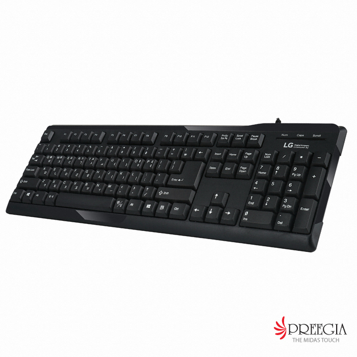 청맥전자 For LG K-2000 PS2_이미지