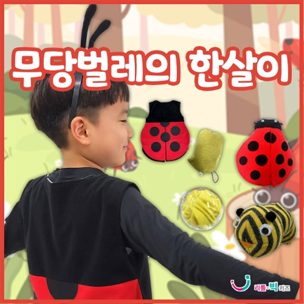 리틀빅키즈 무당벌레의 한살이_이미지