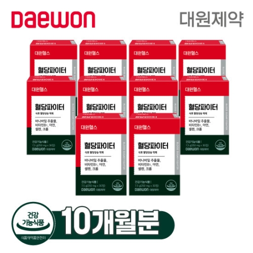 대원제약 혈당파이터 250mg 30정 (10개)_이미지