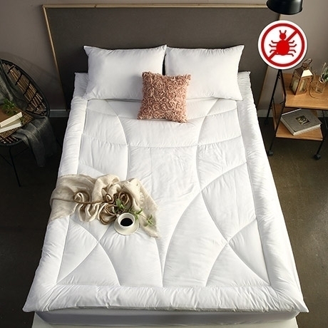 �������� ���� ZERO �˷��� ���� ������