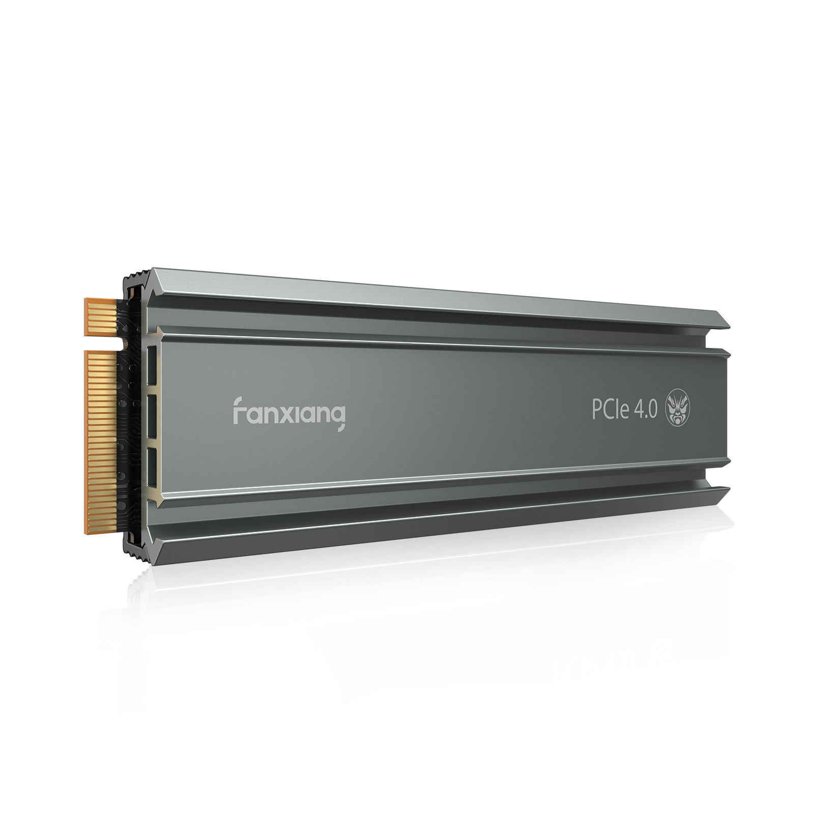Fanxiang S660 M.2 NVMe 병행수입 (500GB)