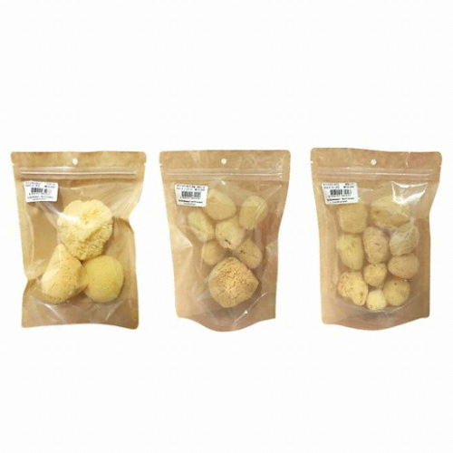 천연 해면 스펀지