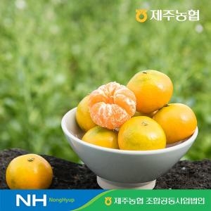  제주농협 하우스 감귤 소과 2.5kg