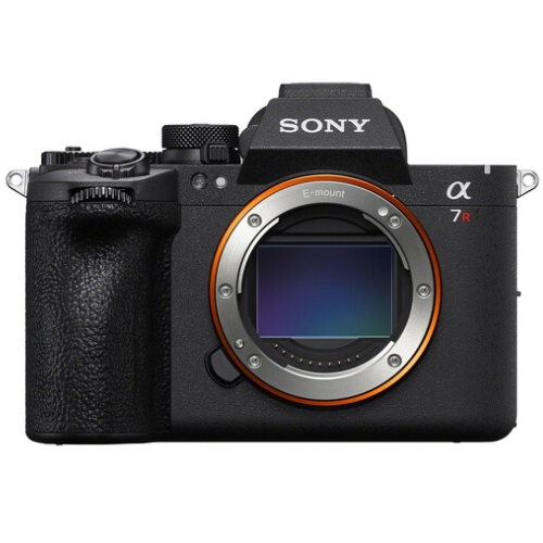 SONY ���� A7R VI �ٵ�