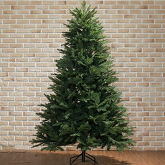 전나무 혼합 트리