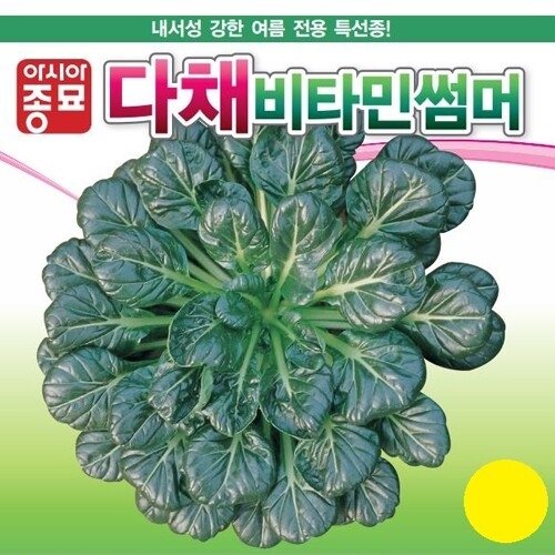 아시아종묘 다채씨앗종자 비타민썸머 600g_이미지