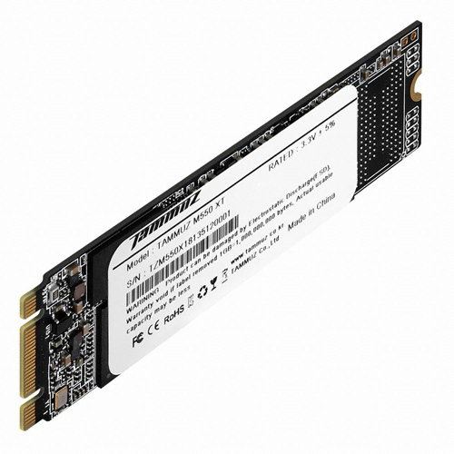 타무즈 M550 XT M.2 SATA (256GB)_이미지