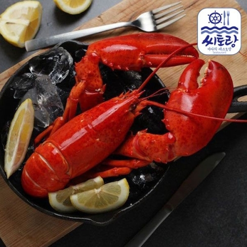 (주)맛있는날 맛있는날 캐나다 자숙랍스터 특 4미/미당 450-500g/냉동