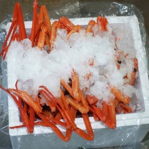 대영수산 주문진 홍게 일반형 11~15마리 5kg [1개]