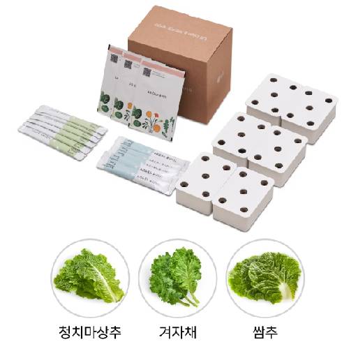 LG전자 틔운 씨앗키트 패키지 푸릇한 패키지 A_이미지