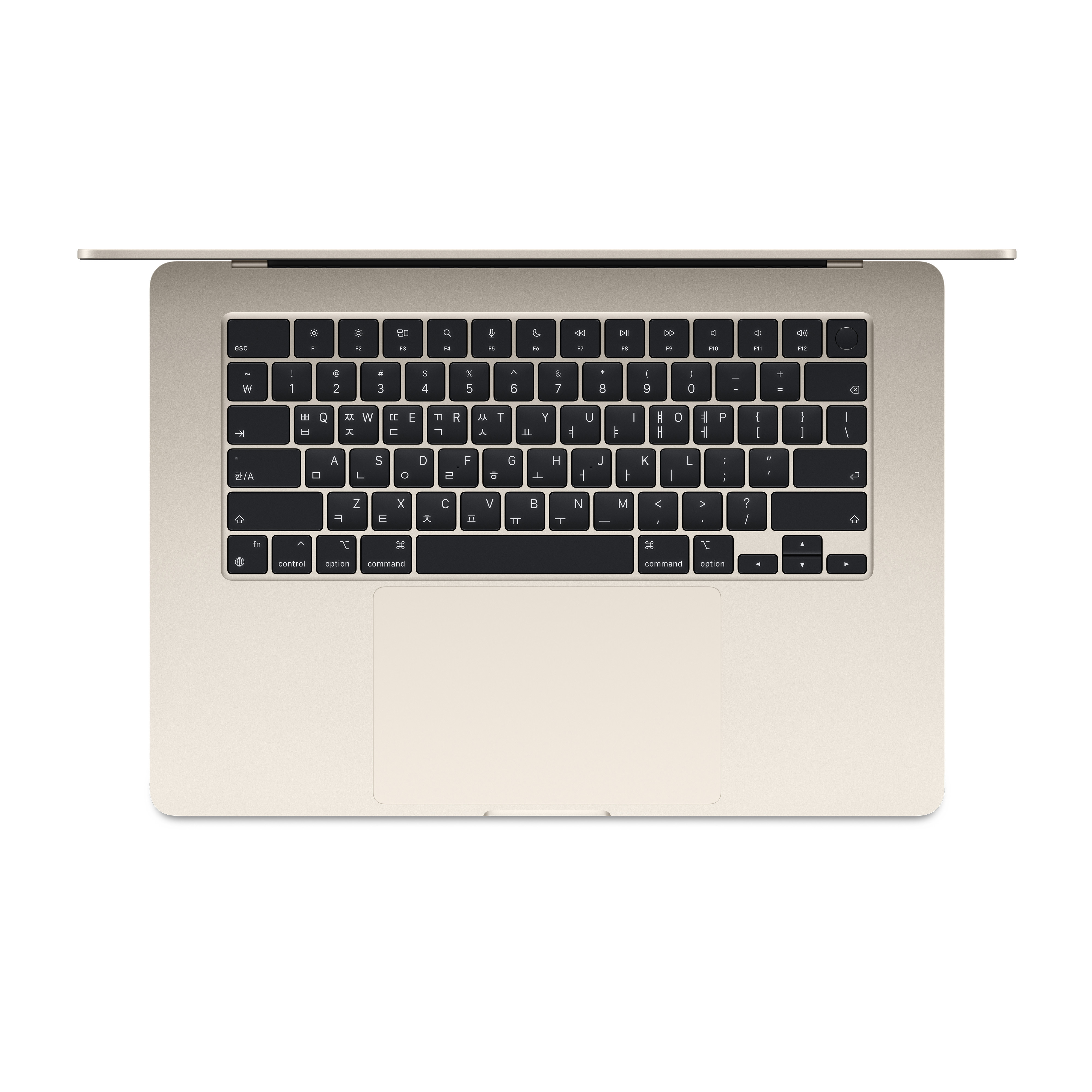 APPLE �ƺϿ���15 M2 8�ھ� CPU, 10�ھ� GPU ���