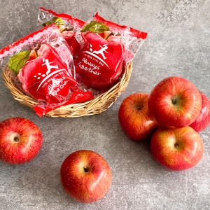 더조은푸드 경북 햇 부사 세척사과 가정용 5kg (1개)_이미지