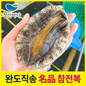 완도직송 활전복 특대 1kg 7-8미