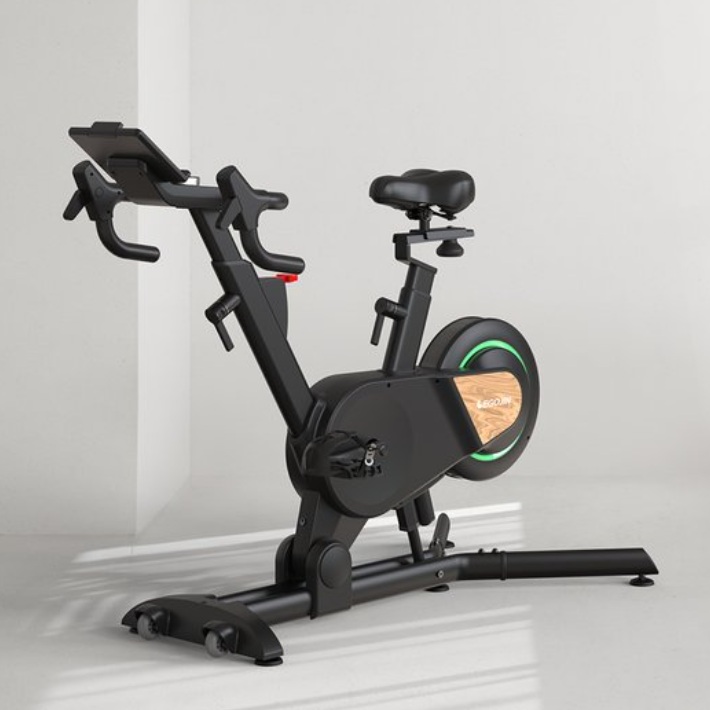 이고진 ERG 프리휠 스피닝 실내자전거 MTB308B_이미지