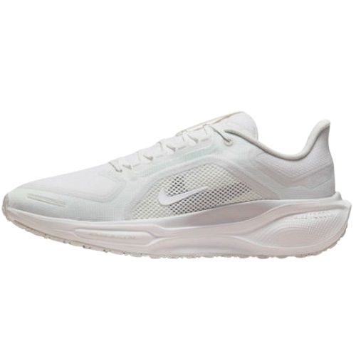 나이키 페가수스 41 고어텍스 FQ1356-101