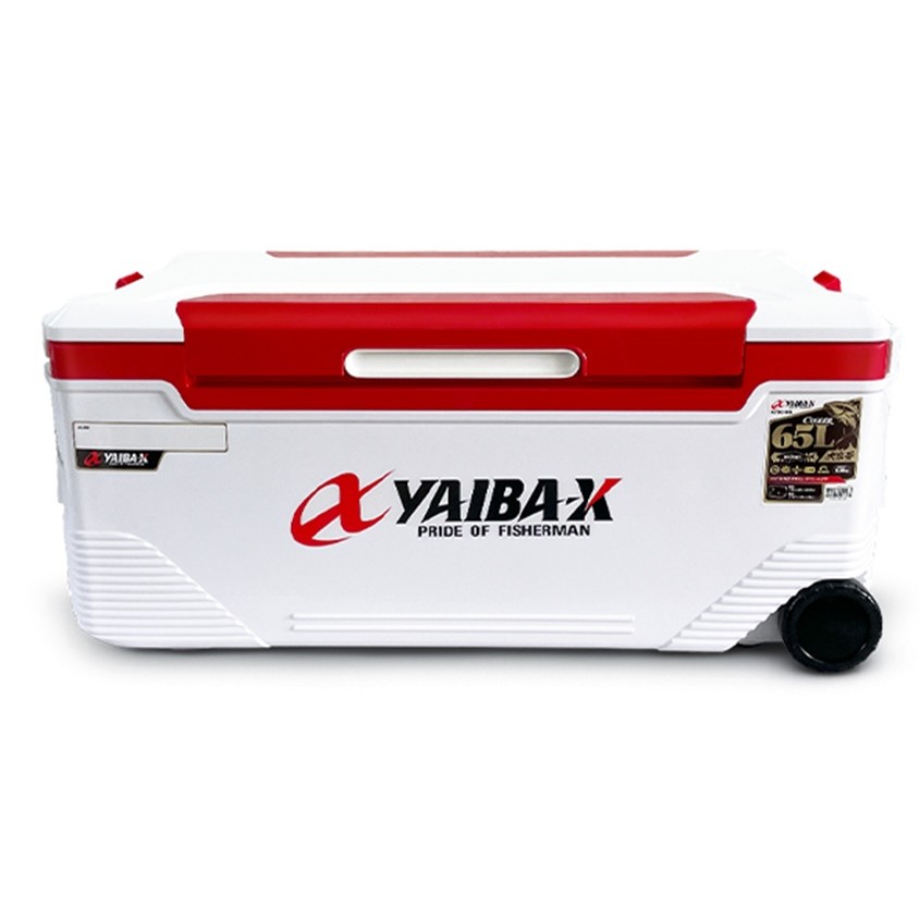 신형 아이스박스 65L