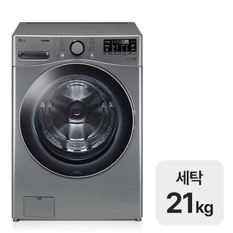 LG전자 트롬 F21VDSKR