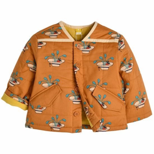 �Ѽ��帲 ���̸��� ���� ������ �淮 �е� ���� M241PMB01P