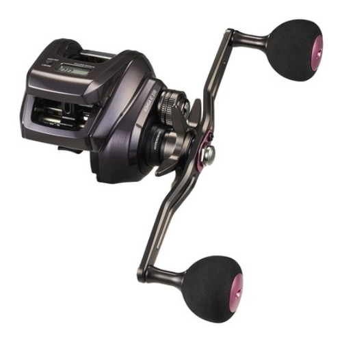 다이와 코우가 IC 200, 2024년형