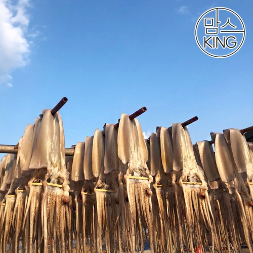 구룡포 강영수산 손질 반건조오징어 왕왕특 10미 2.4kg 내외