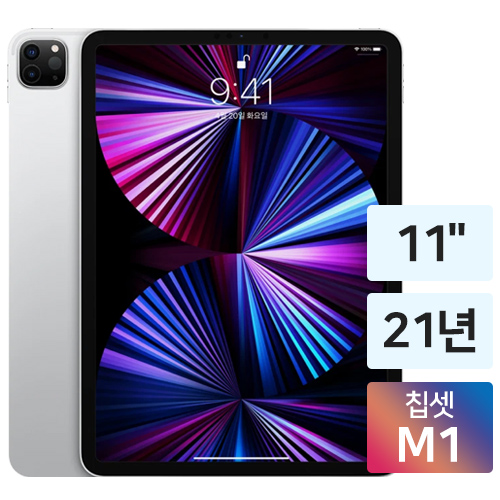 APPLE 2021 iPad Pro 11 3세대 Cellular (128GB)