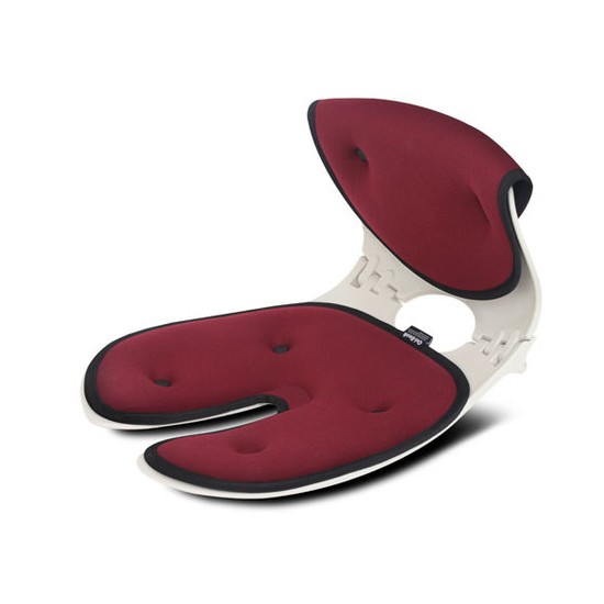 체어플러스 오리백 COC 베이직형 자세교정 의자 (1개)