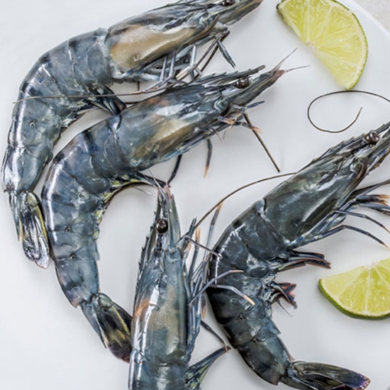 비비수산 블랙타이거 새우 20개(마리) 500g