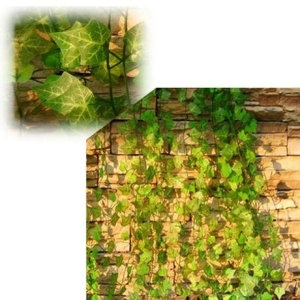 인조담쟁이1줄 넝쿨 아이비 담쟁이 인조잔디 ivy