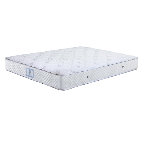 씰리 뉴 아델 매트리스 Q (22cm)_이미지